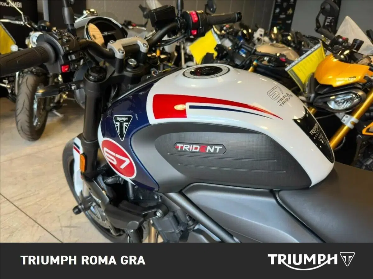 Triumph Trident 660 Triple Tribute Edition (2024) (12)
