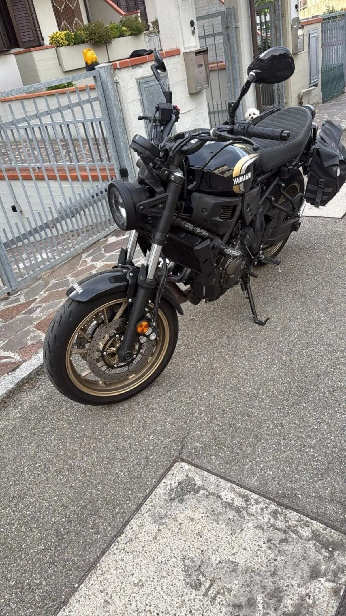 Yamaha XSR 700 (2022 - 26) (11)