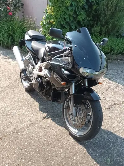 Suzuki TL 1000 S (1997 - 03) usata