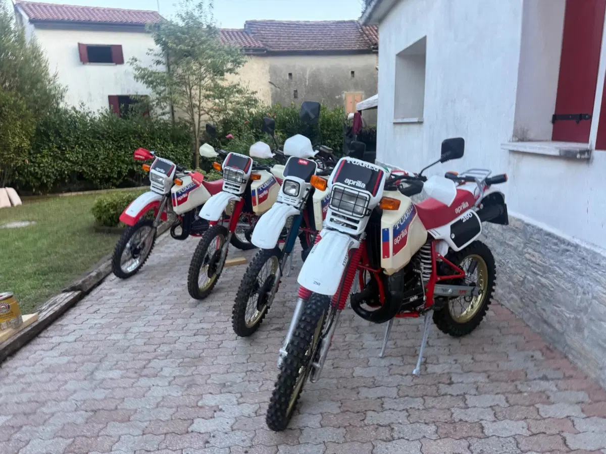 Aprilia Tuareg Rally 250 (3)