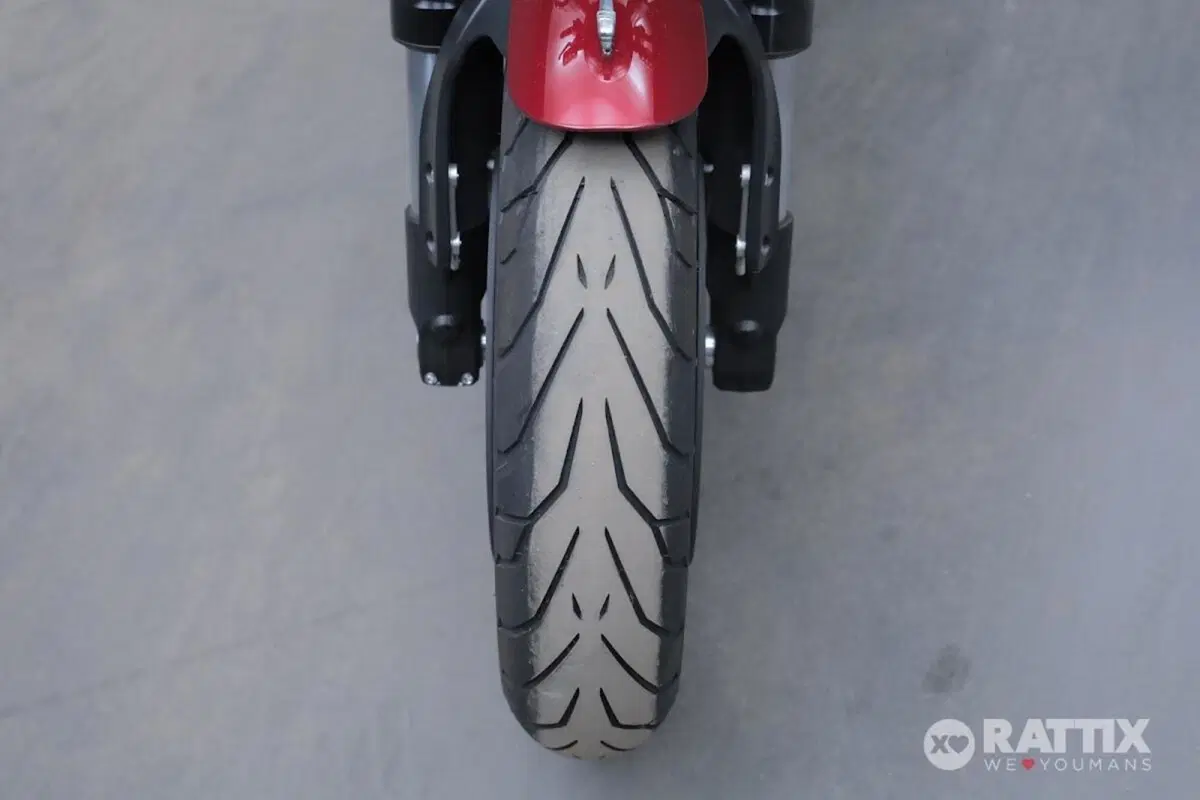 Benelli Leoncino 500 (2021 - 25) (10)