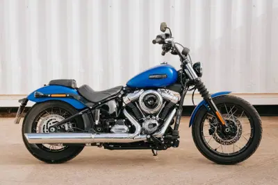 Harley-Davidson Street Bob 117 (2025 - 26) usata