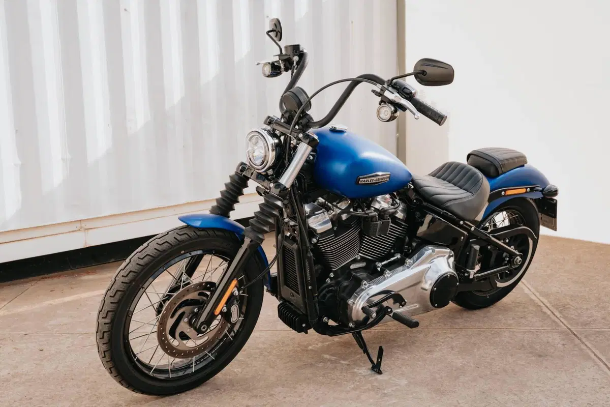 Harley-Davidson Street Bob 117 (2025 - 26) (10)