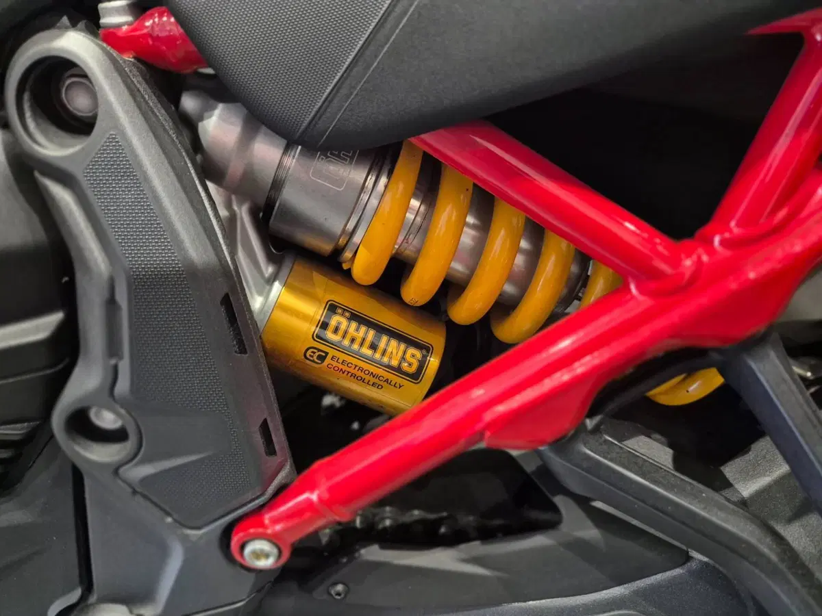 Ducati Multistrada V4 Pikes Peak (2021 - 24) (16)
