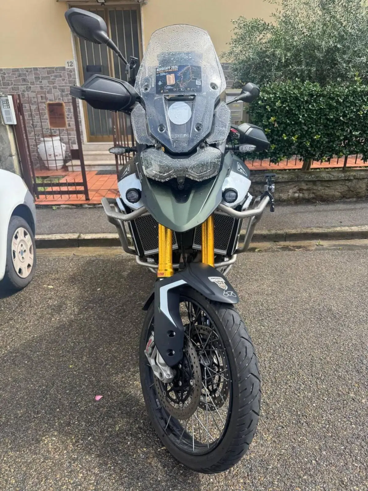 Triumph Tiger 900 Rally Pro (2024 - 26) (2)