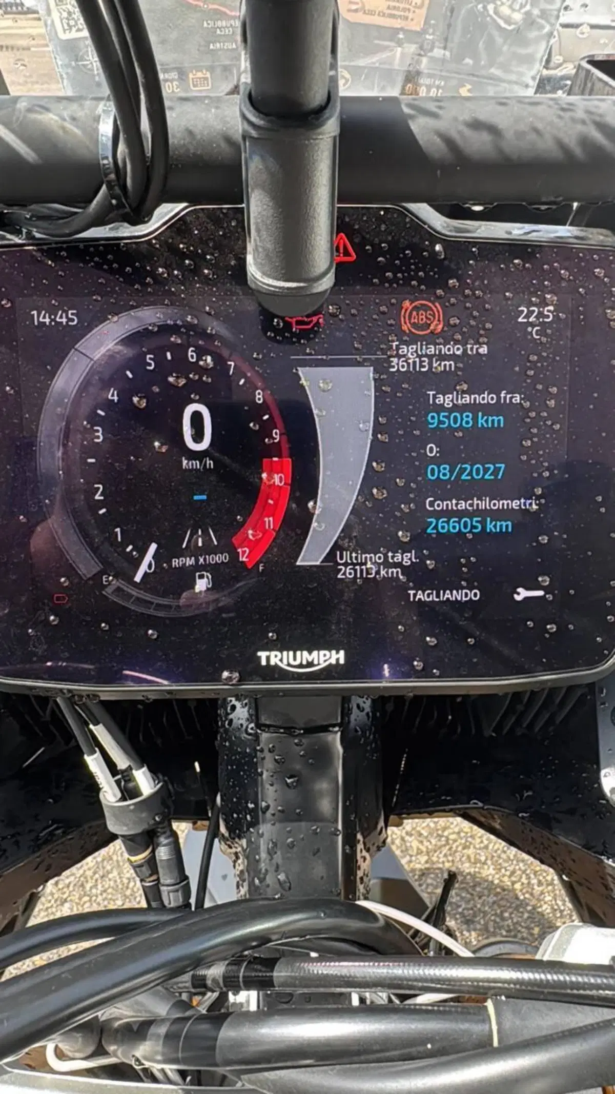 Triumph Tiger 900 Rally Pro (2024 - 26) (3)