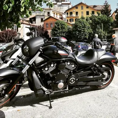 Harley-Davidson 1250 Night Rod Special (2007) - VRSCDX usata