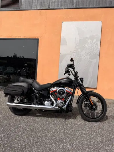Harley-Davidson Street Bob 117 (2025 - 26) usata