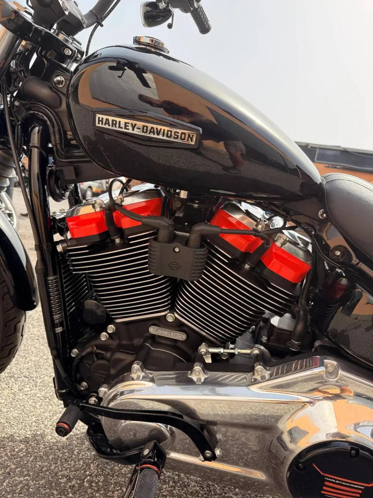 Harley-Davidson Street Bob 117 (2025 - 26) (12)