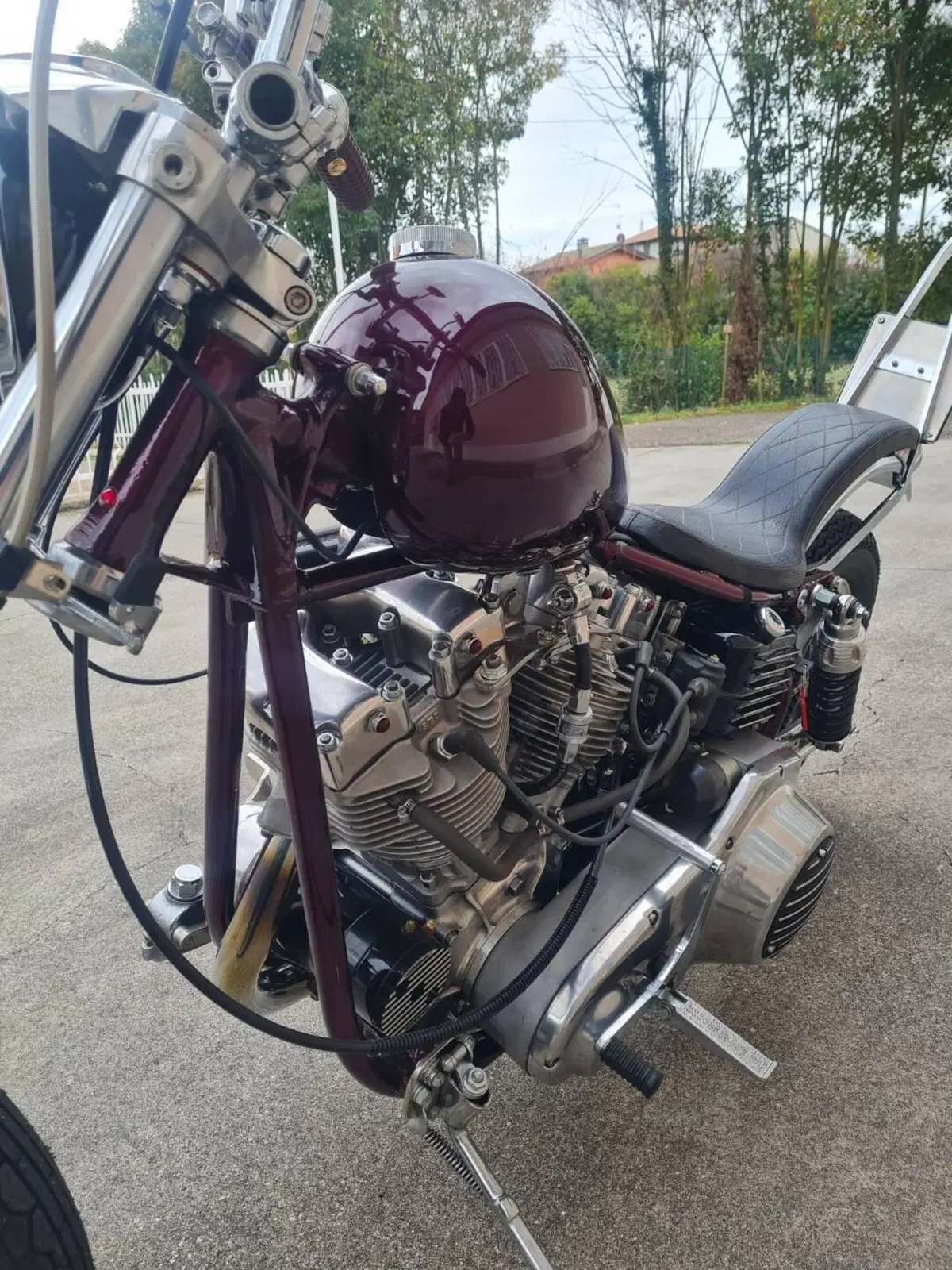 Harley-Davidson Flh (3)