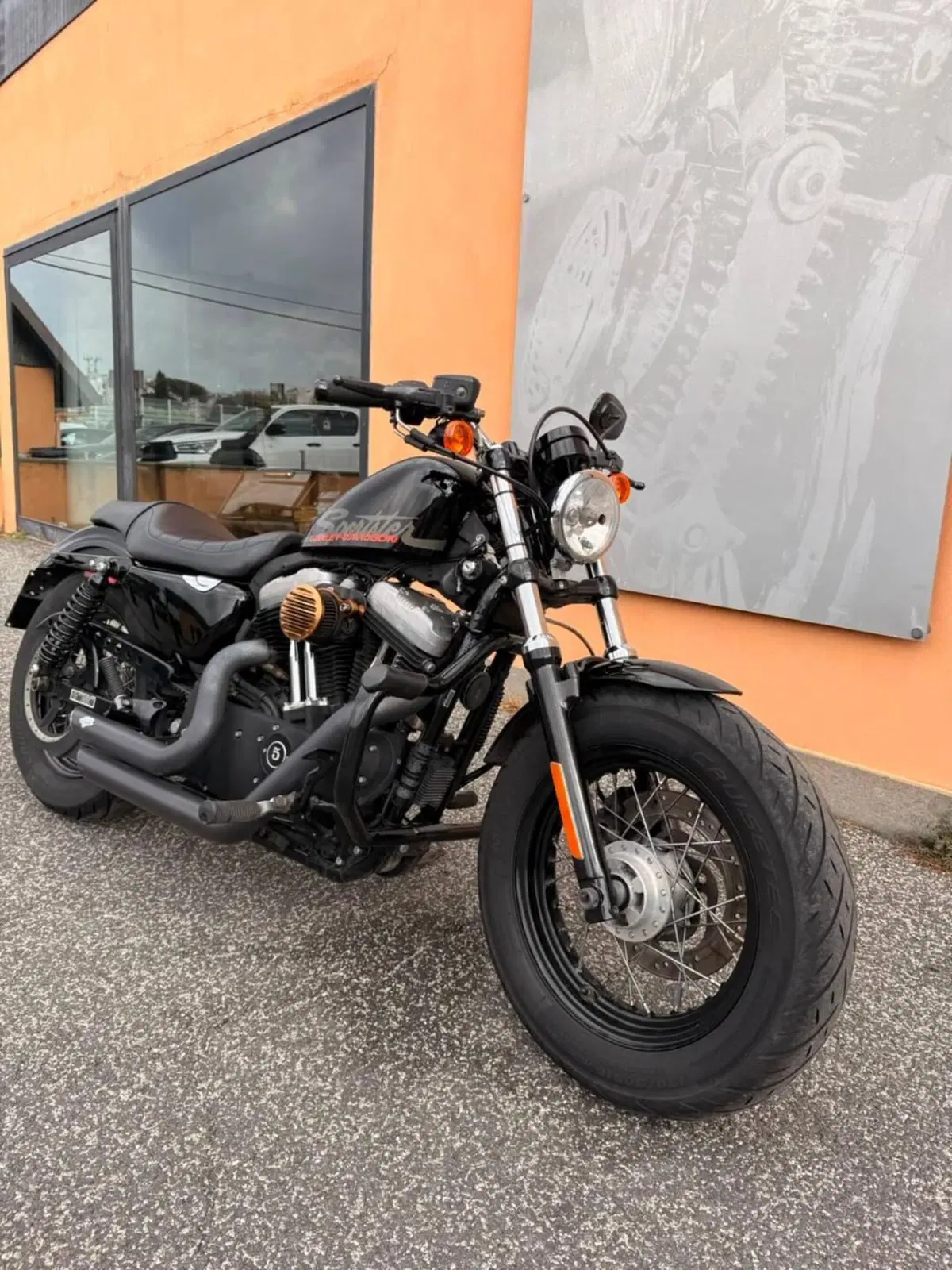Harley-Davidson 1200 Forty-Eight (2010 - 15) (2)