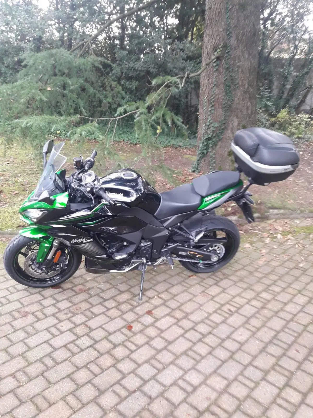 Kawasaki Ninja 1000 SX (2021 - 24)
