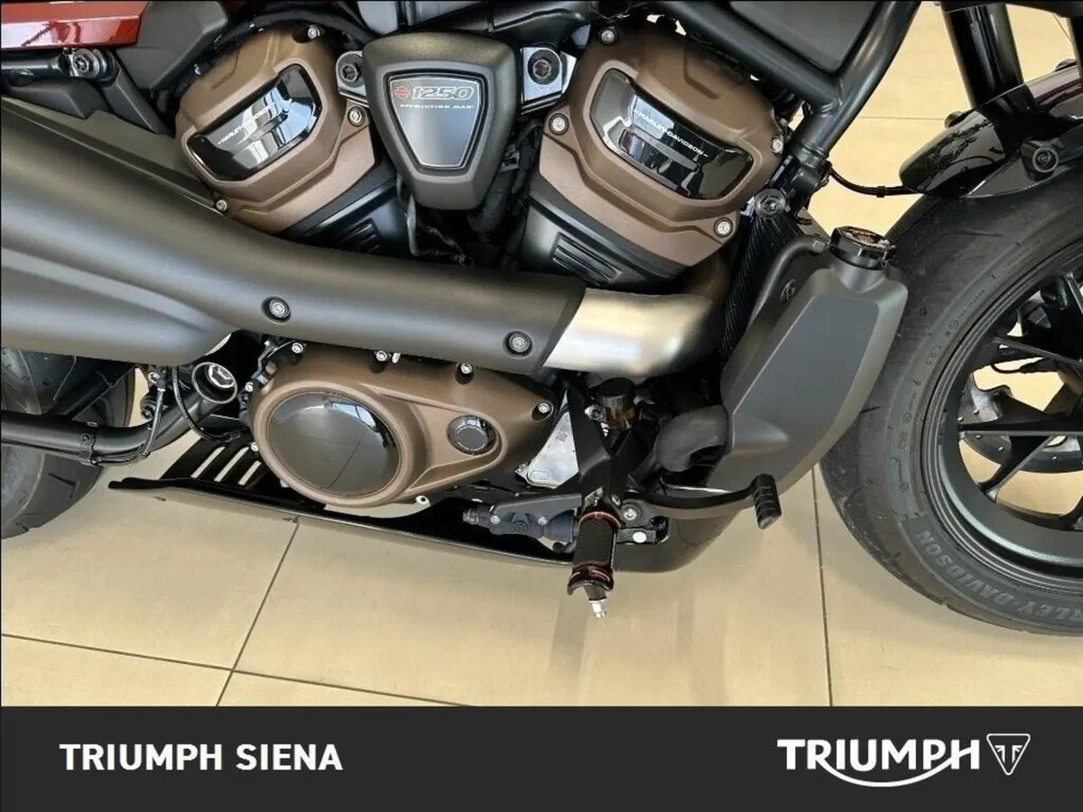 Harley-Davidson Sportster S (2022 - 24) (21)