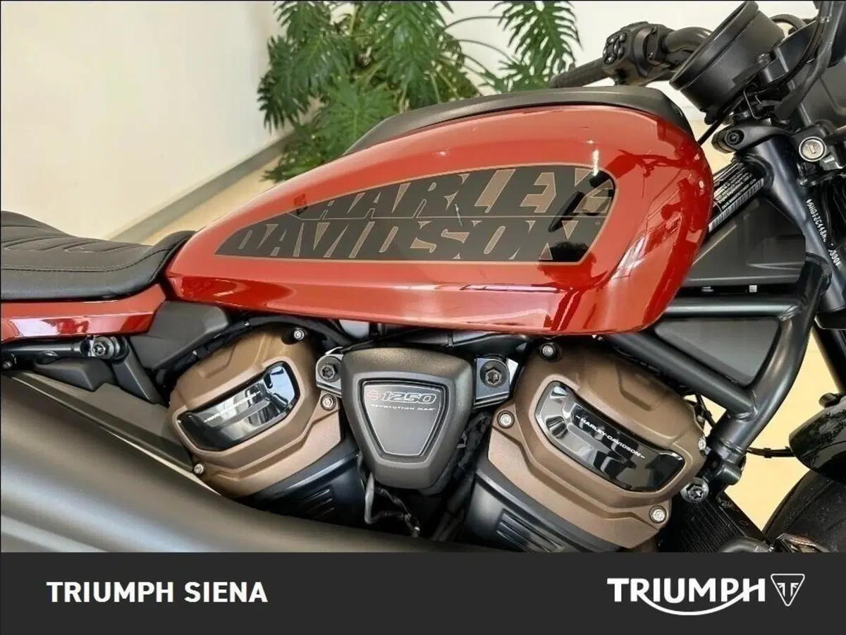 Harley-Davidson Sportster S (2022 - 24) (22)