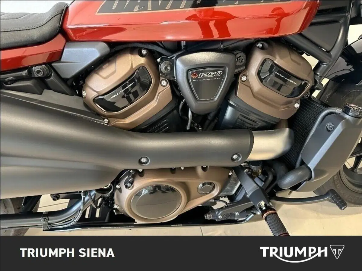 Harley-Davidson Sportster S (2022 - 24) (23)