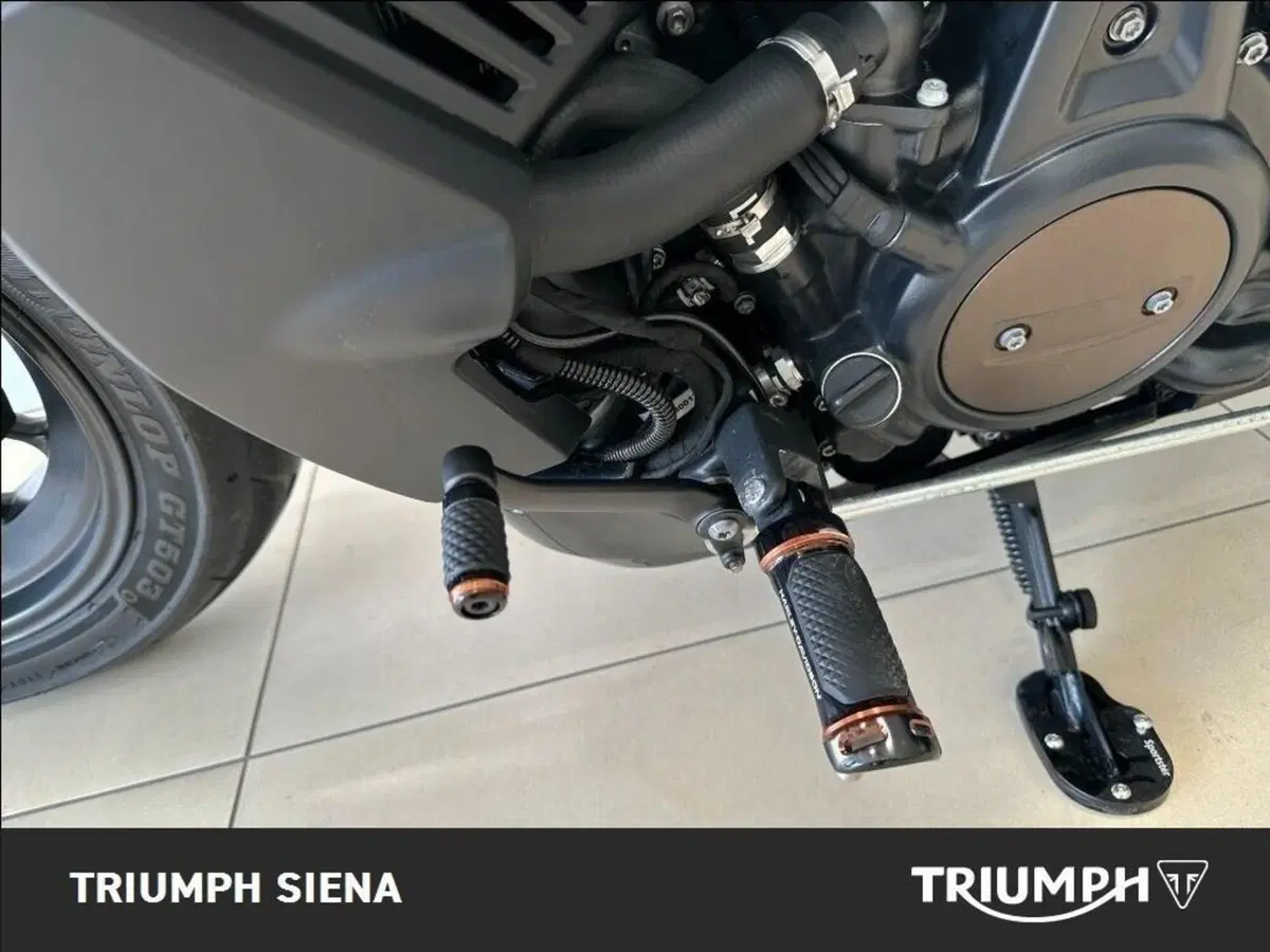 Harley-Davidson Sportster S (2022 - 24) (15)