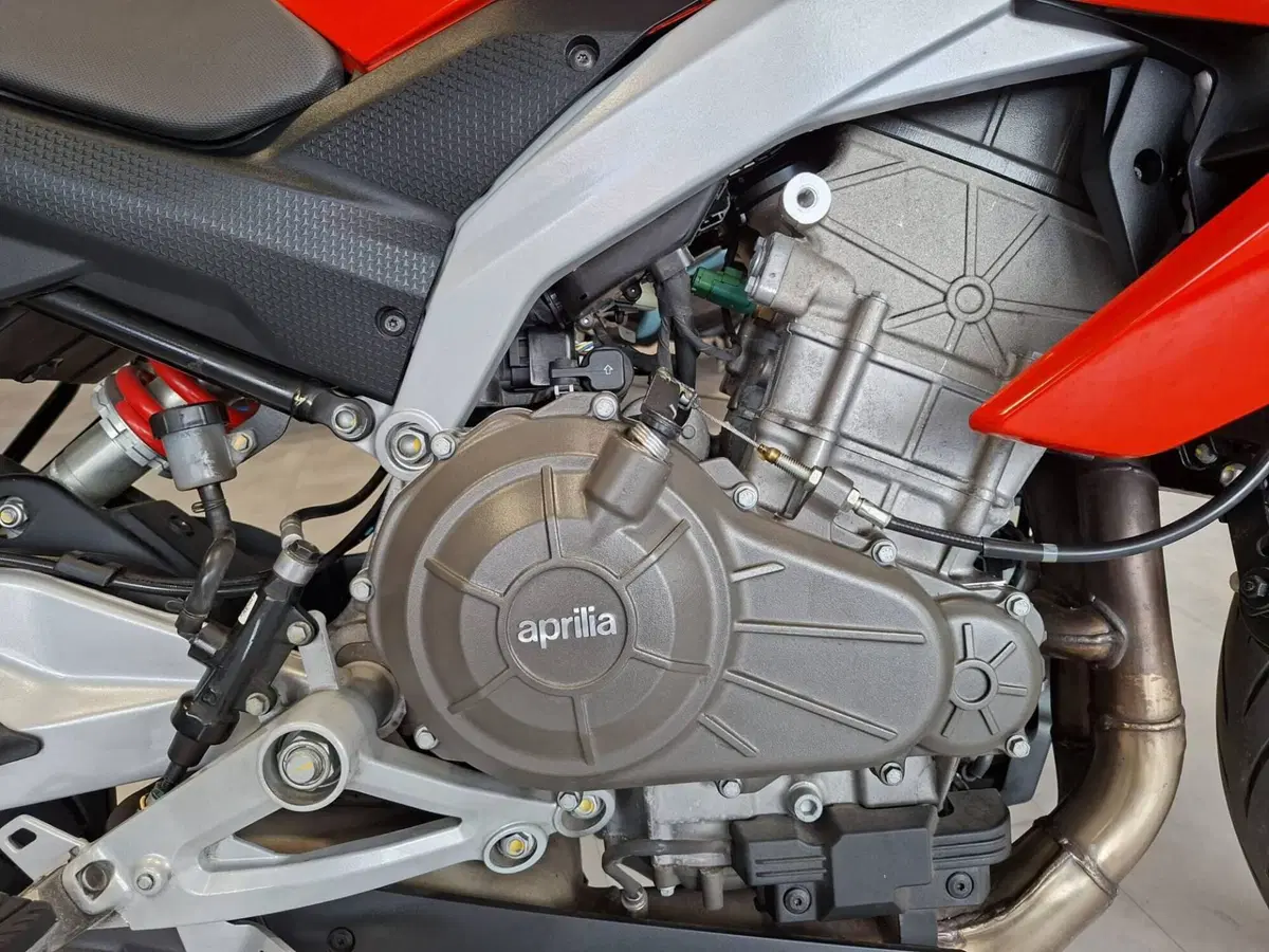 Aprilia Tuono 457 (2025 - 26) (7)