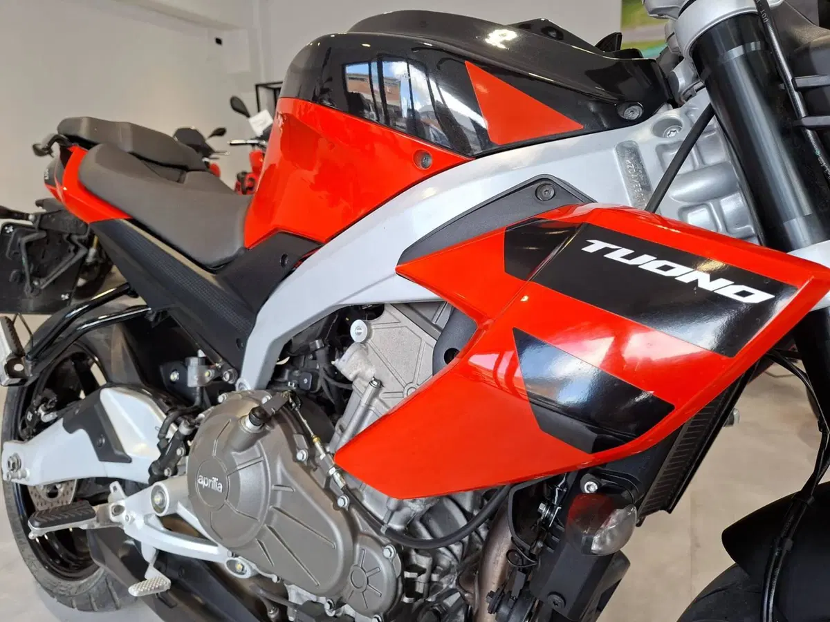 Aprilia Tuono 457 (2025 - 26) (6)