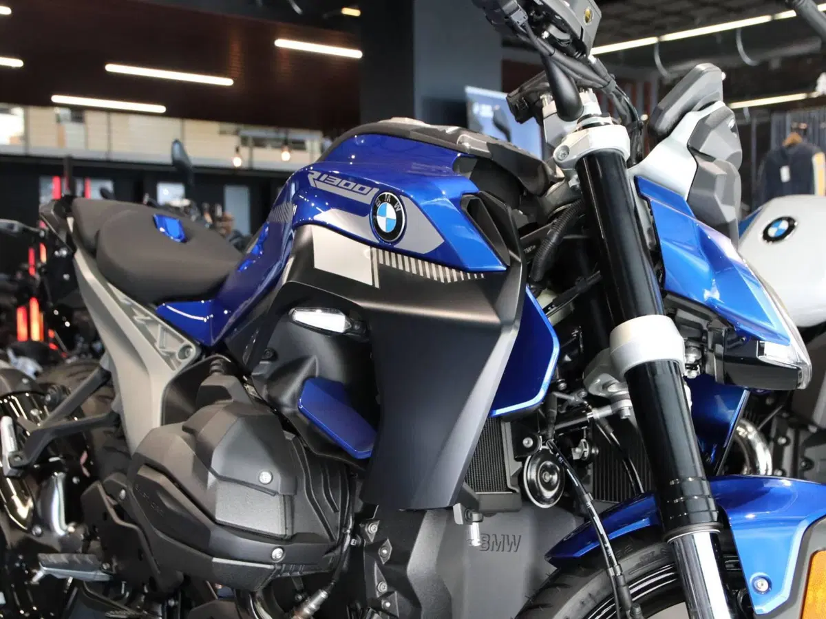Bmw R 1300 R (2026 - 27) (2)