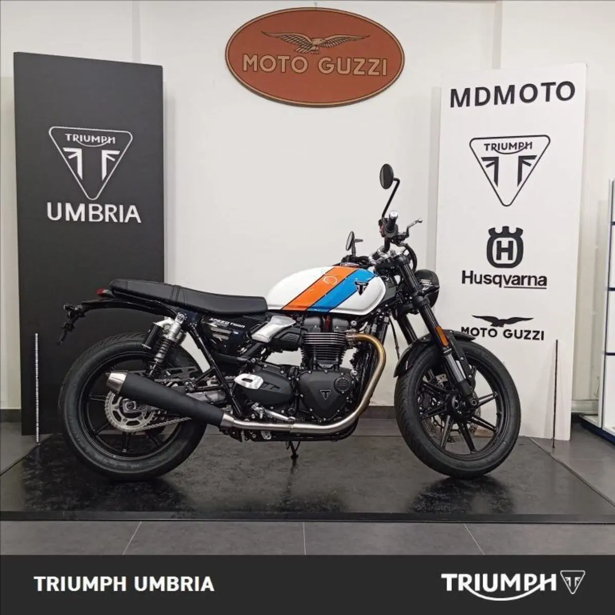 Triumph Speed Twin 900 (2025 - 26)