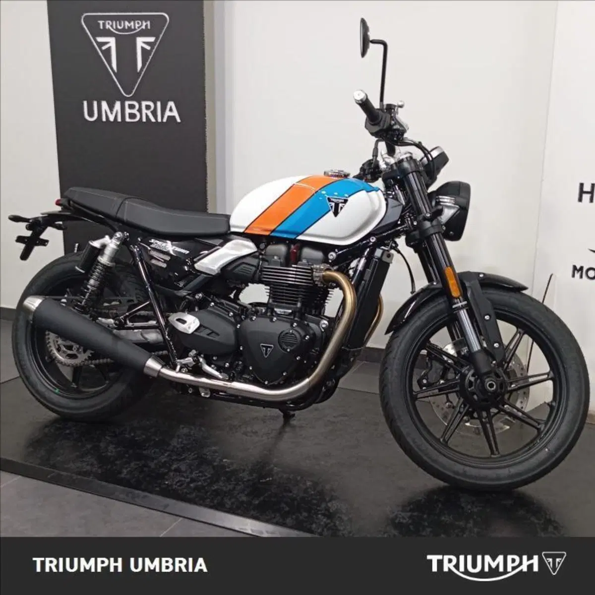 Triumph Speed Twin 900 (2025 - 26) (6)