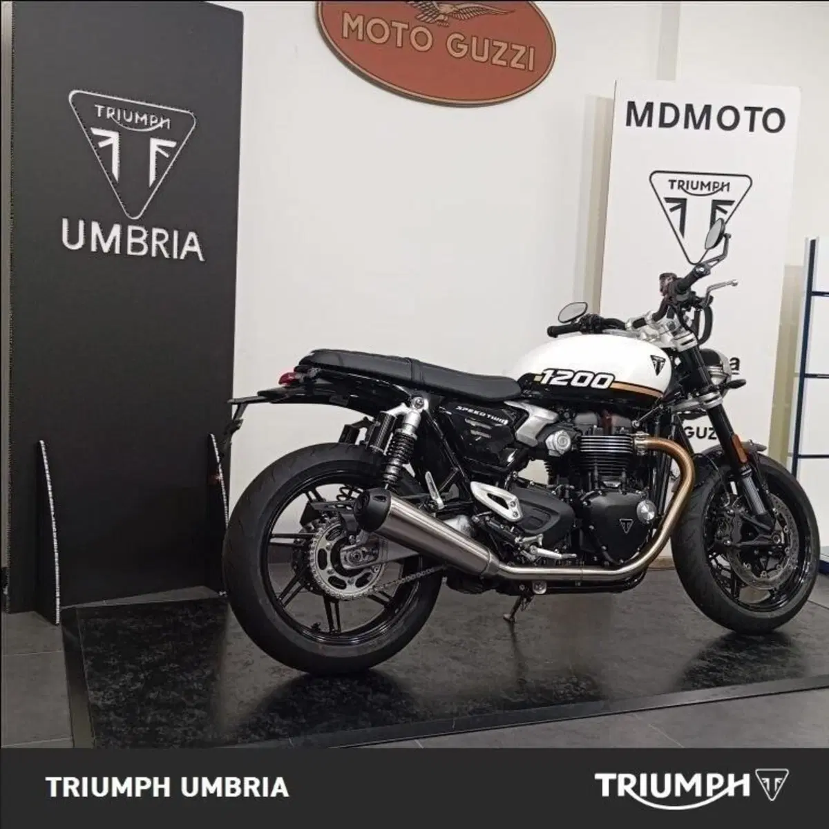 Triumph Speed Twin 1200 (2025 - 26) (6)