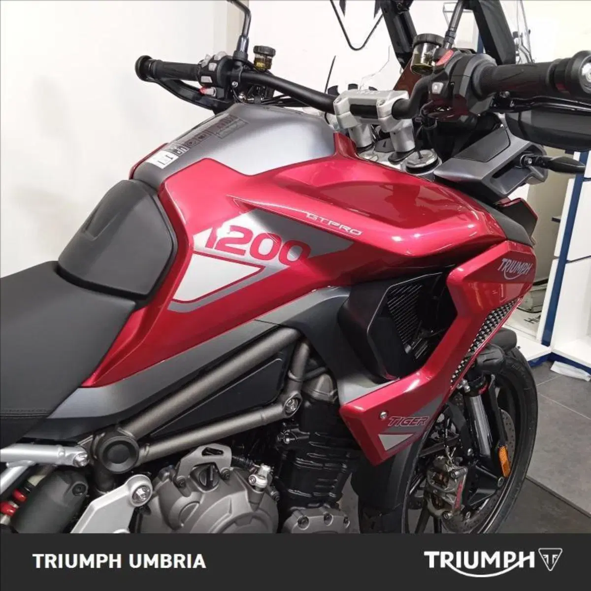 Triumph Tiger 1200 GT Pro (2024 - 26) (3)