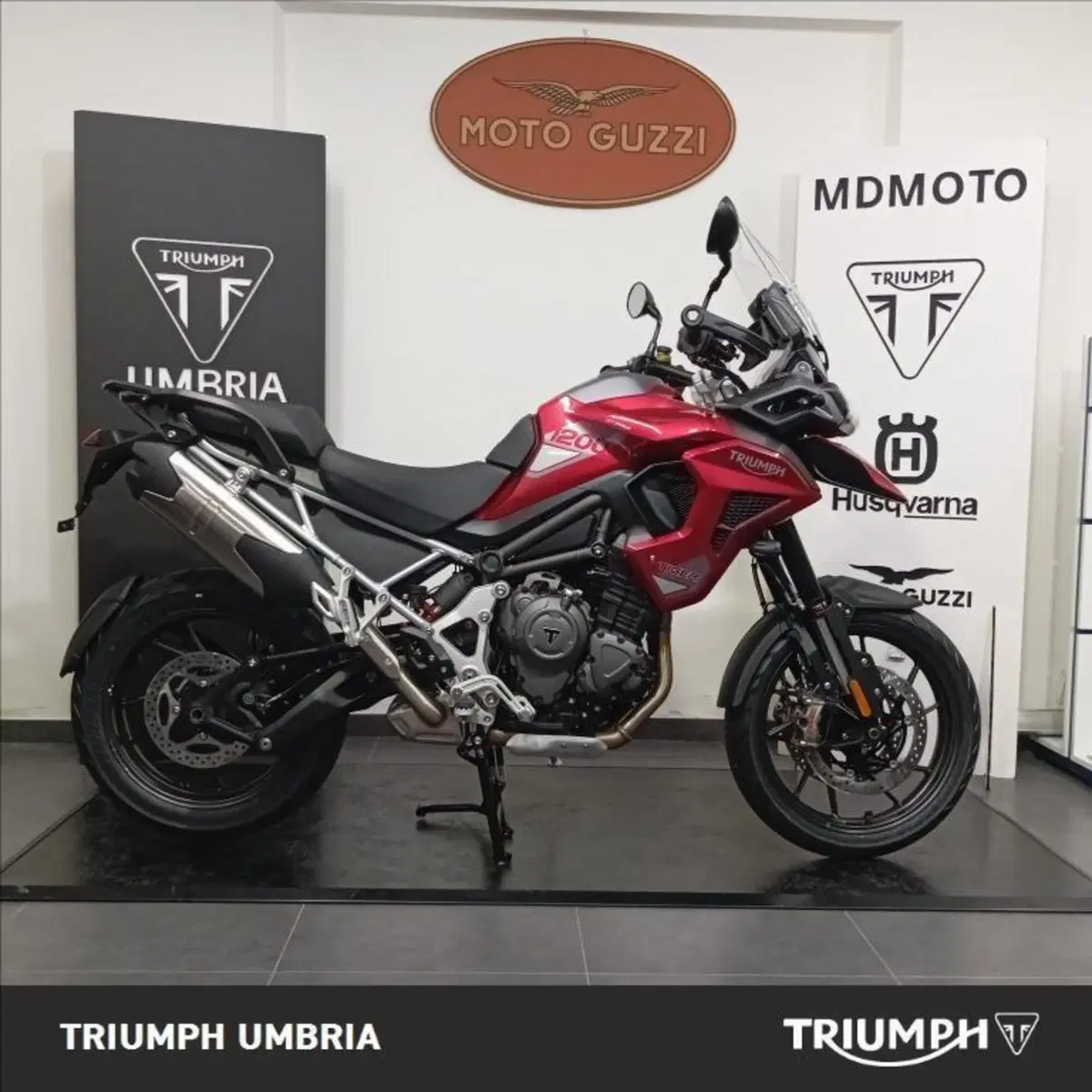 Triumph Tiger 1200 GT Pro (2024 - 26) (6)