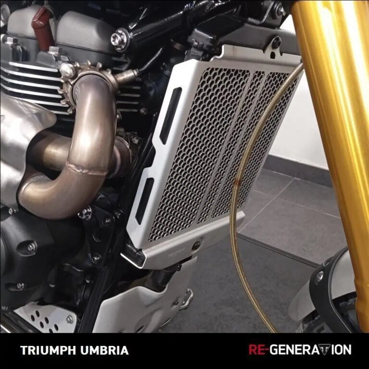 Triumph Scrambler 1200 XE (2019 - 20) (5)