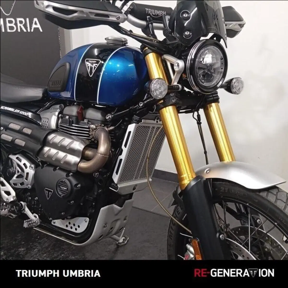Triumph Scrambler 1200 XE (2019 - 20) (6)