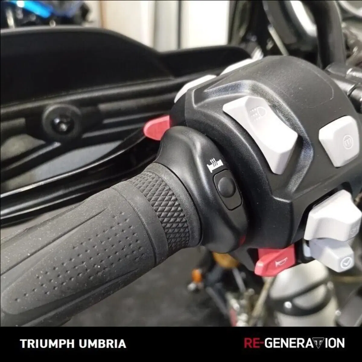 Triumph Scrambler 1200 XE (2019 - 20) (17)