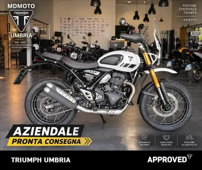 Triumph Scrambler 400 XC (2025 - 26) usata