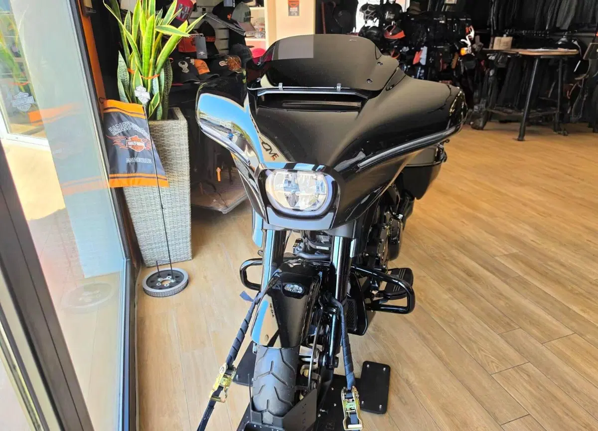 Harley-Davidson Street Glide (2024 - 26) (7)