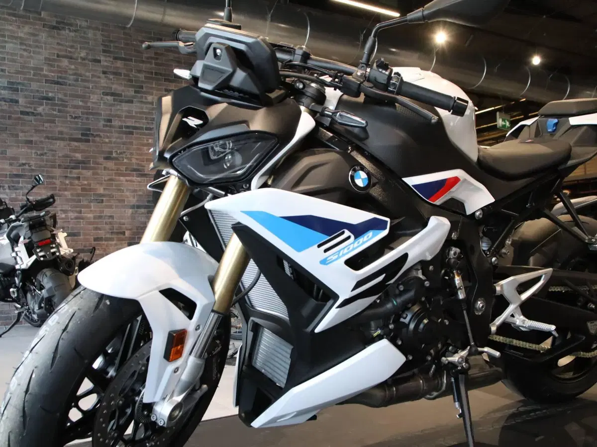 Bmw S 1000 R (2025 - 27) (10)