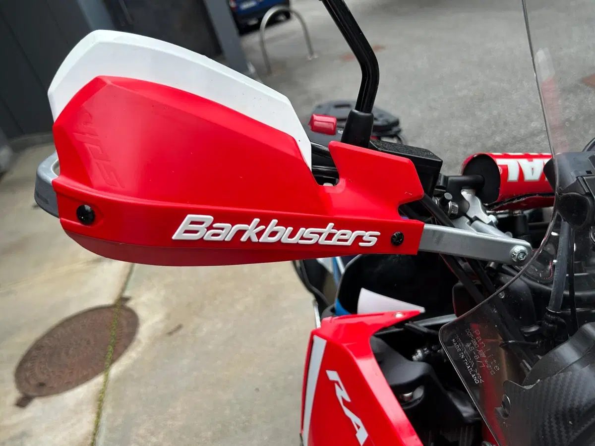 Honda CRF 300 Rally (2025 - 26) (5)