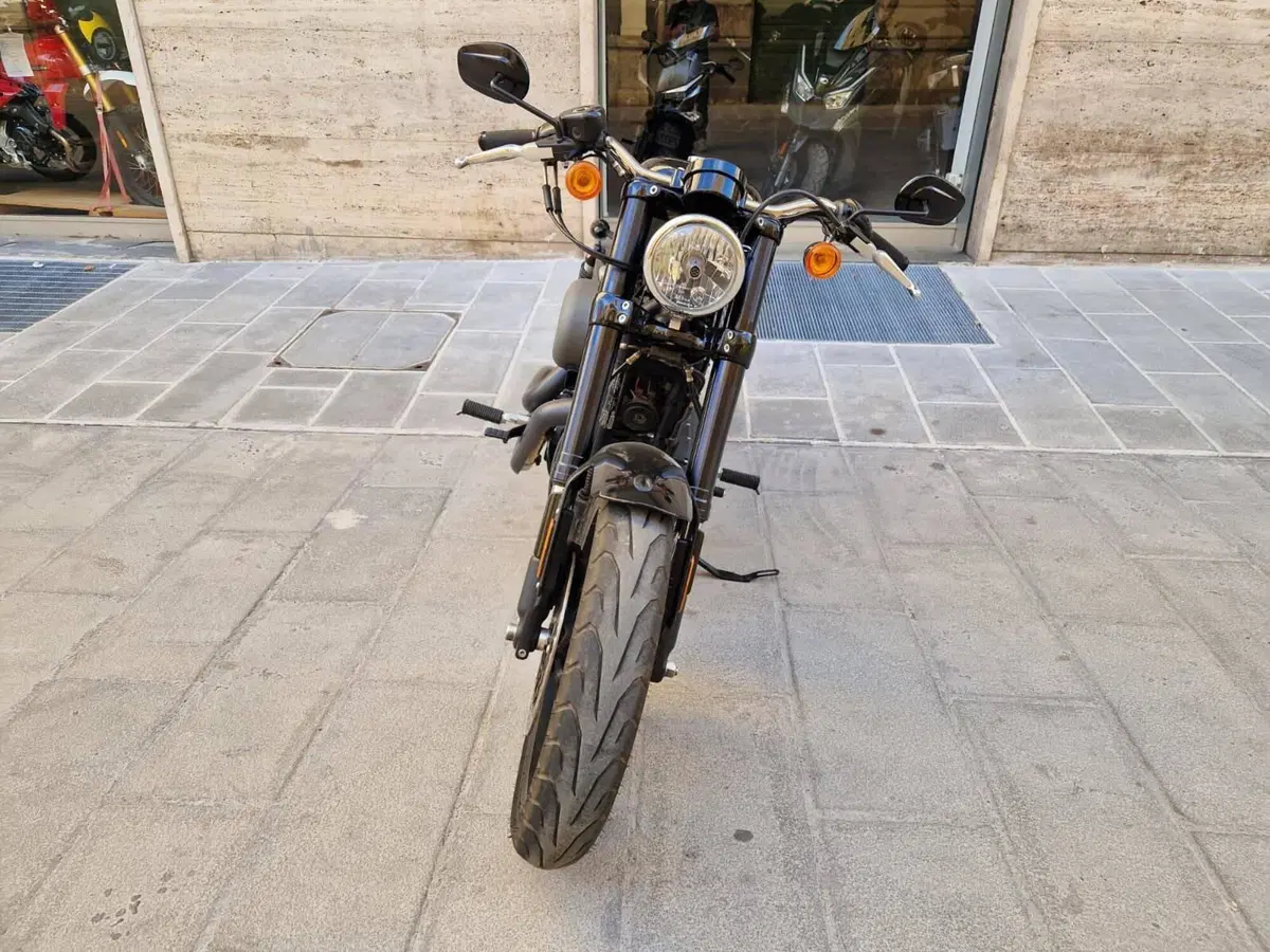Harley-Davidson 1200 Roadster (2017 - 20) - XL 1200R (2)