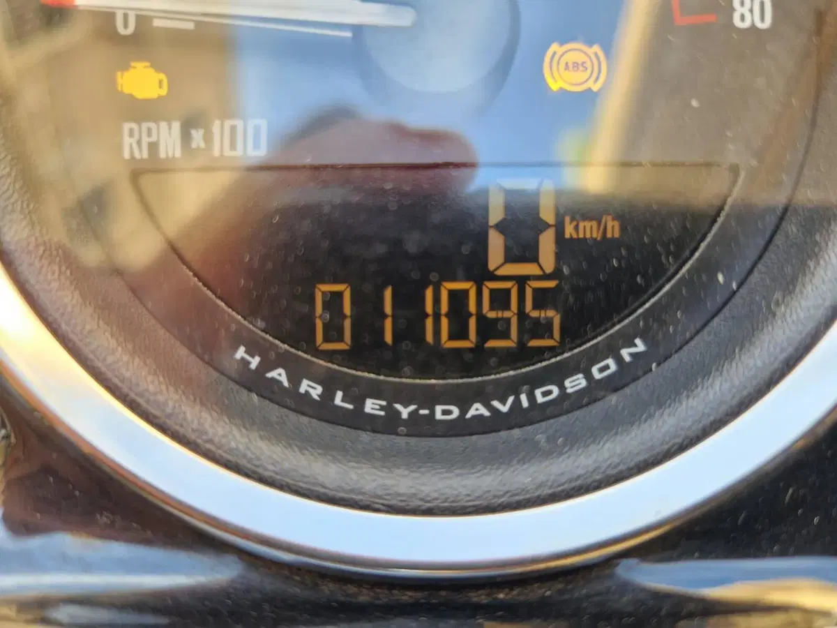 Harley-Davidson 1200 Roadster (2017 - 20) - XL 1200R (4)