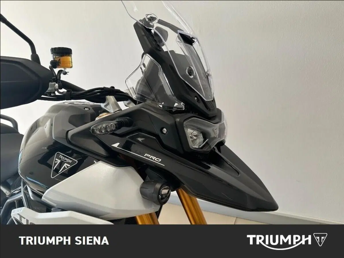 Triumph Tiger 900 Rally Pro (2024 - 26) (4)