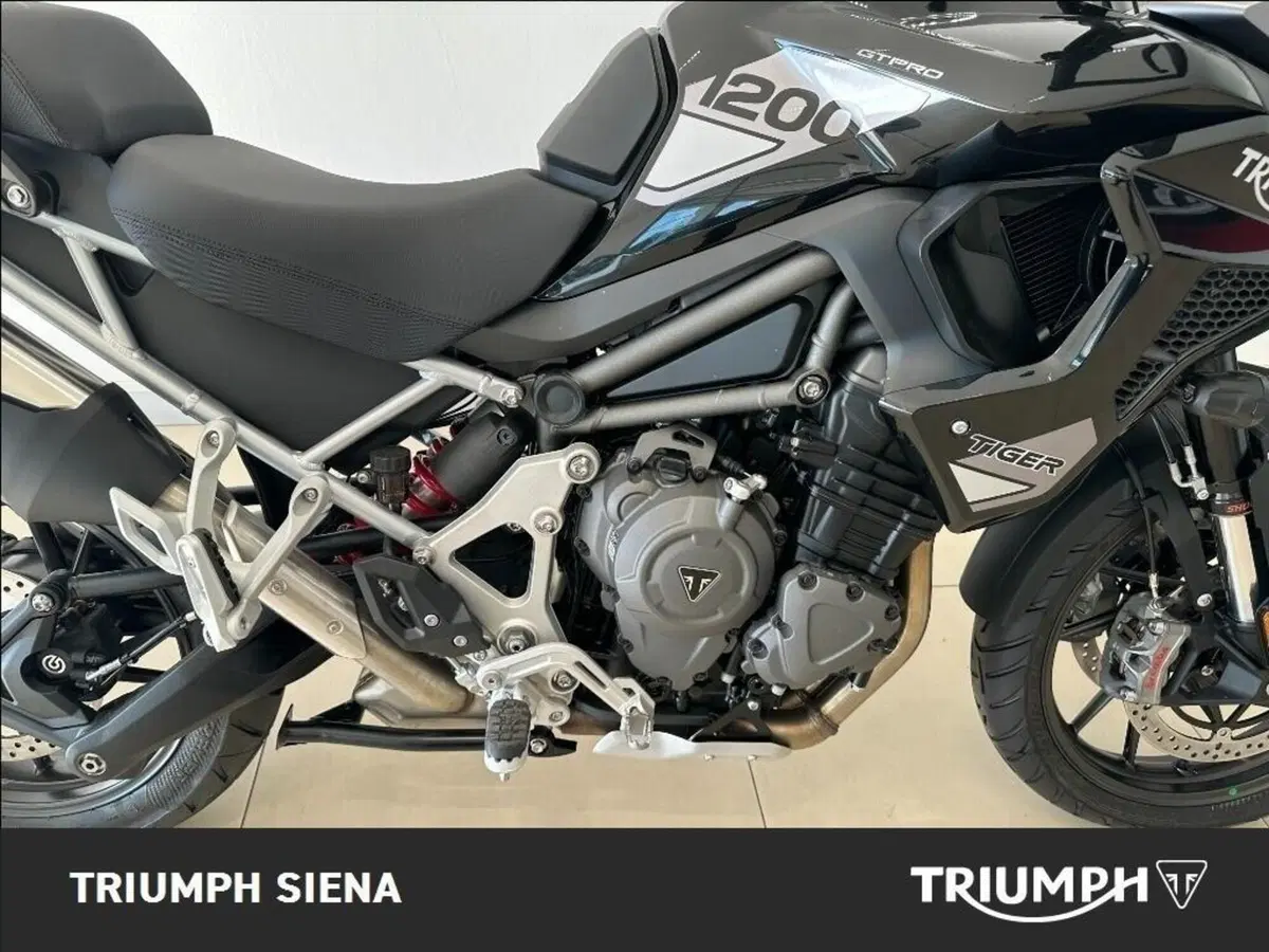Triumph Tiger 1200 GT Pro (2024 - 26) (7)