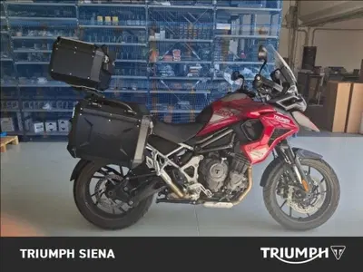 Triumph Tiger 1200 GT Pro (2024 - 26) usata