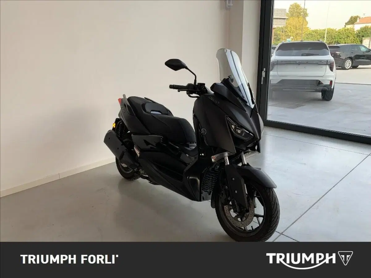Yamaha X-Max 300 ABS (2017 - 20) (2)