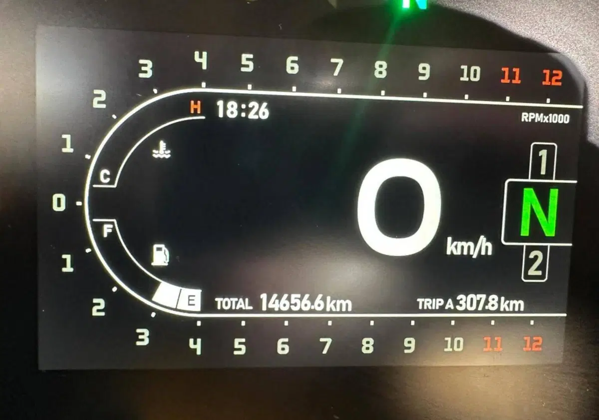 Benelli Leoncino 800 (2022 - 26) (5)