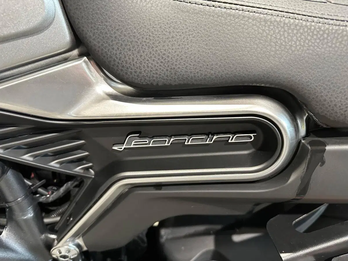 Benelli Leoncino 800 (2022 - 26) (8)