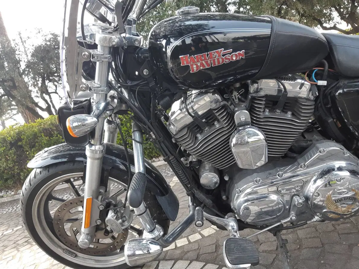 Harley-Davidson 1200 SuperLow (2014 - 16) - XL 1200T (4)
