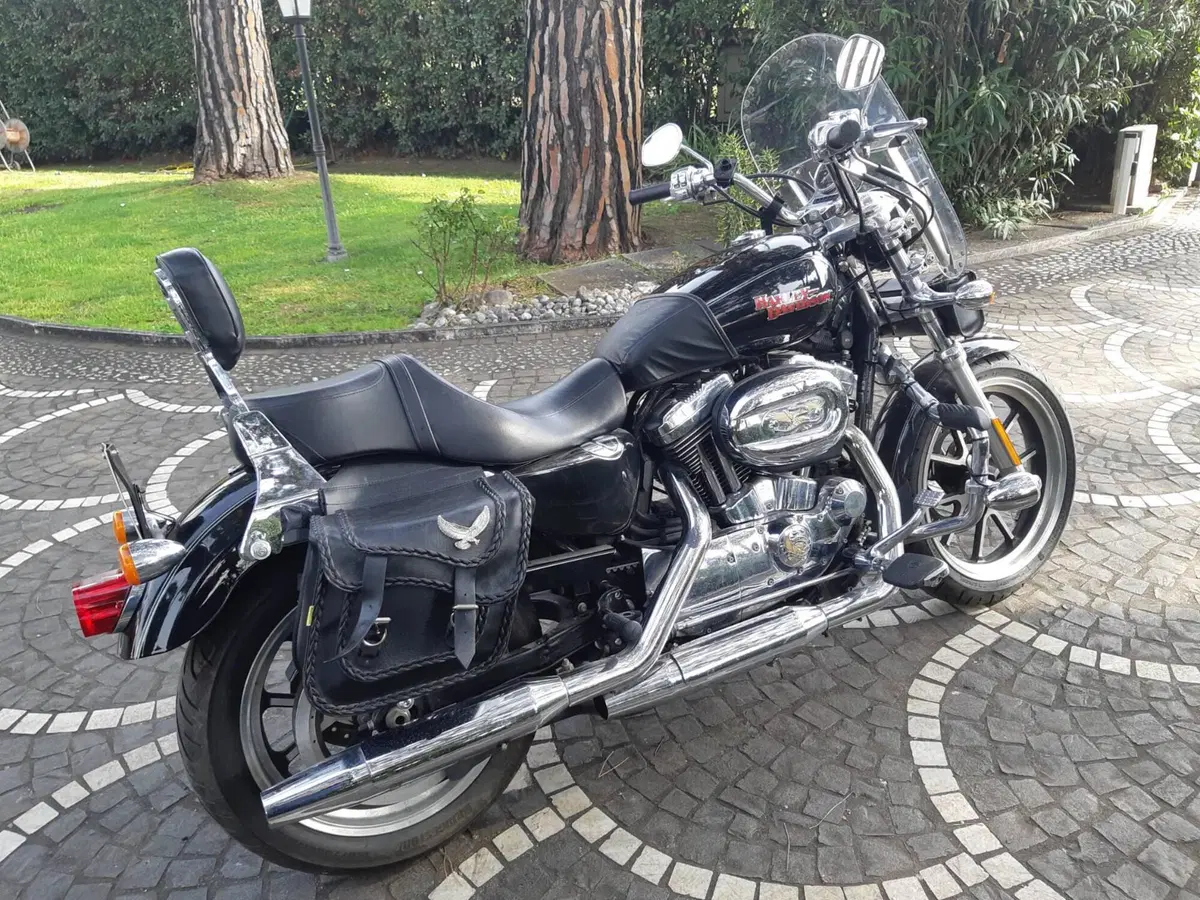 Harley-Davidson 1200 SuperLow (2014 - 16) - XL 1200T (5)