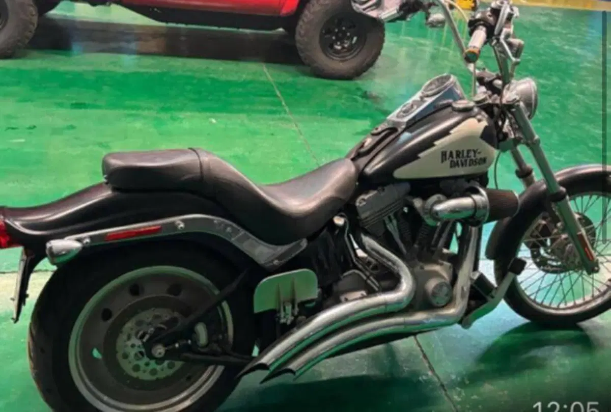 Harley-Davidson 1584 Custom (2007) - FXSTC (5)