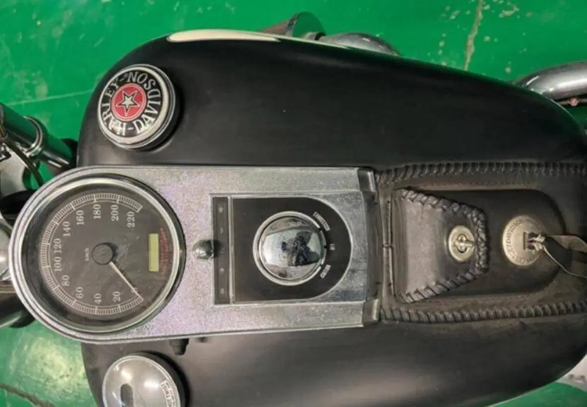 Harley-Davidson 1584 Custom (2007) - FXSTC (6)