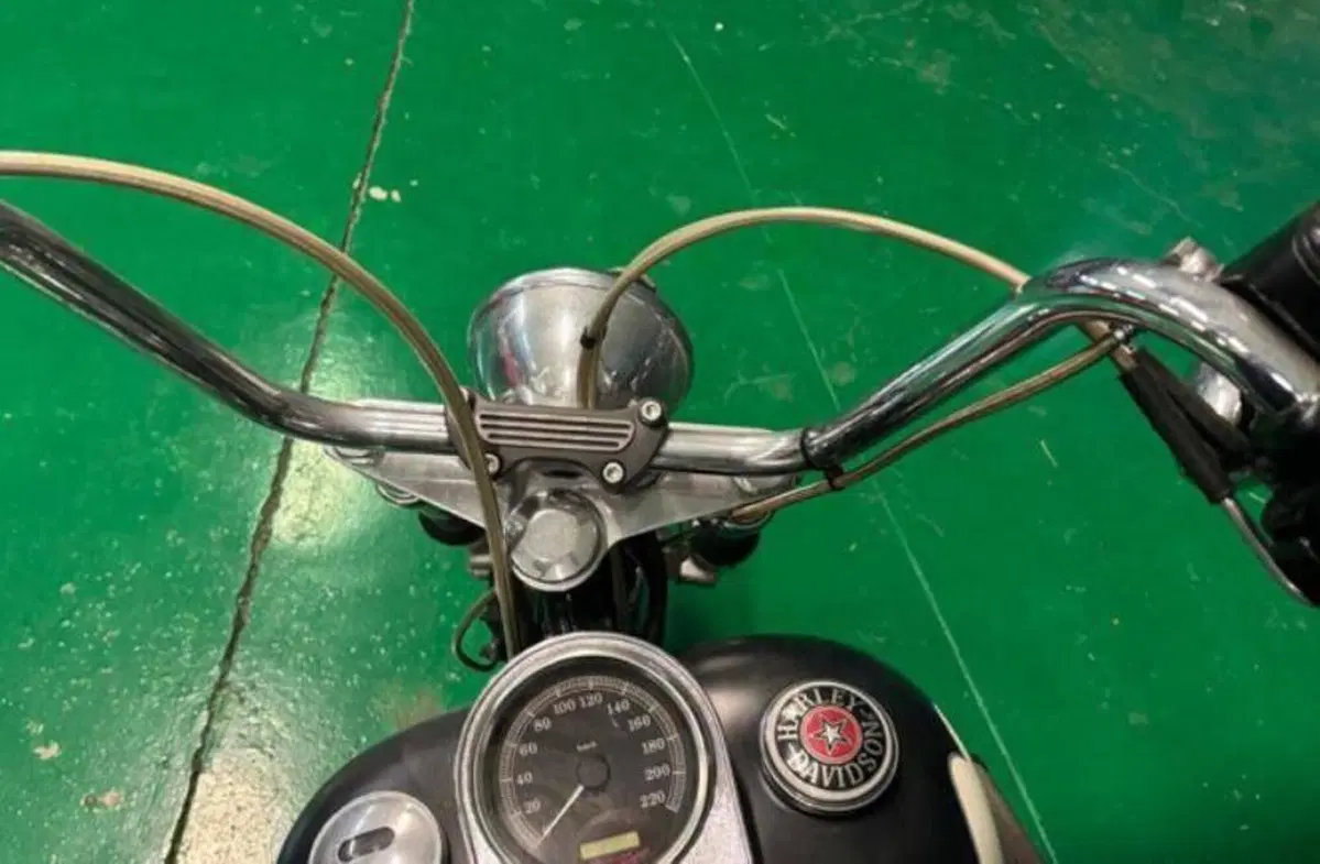 Harley-Davidson 1584 Custom (2007) - FXSTC (7)