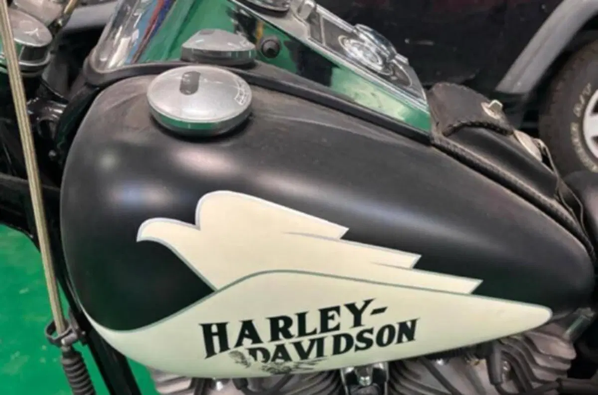 Harley-Davidson 1584 Custom (2007) - FXSTC (8)