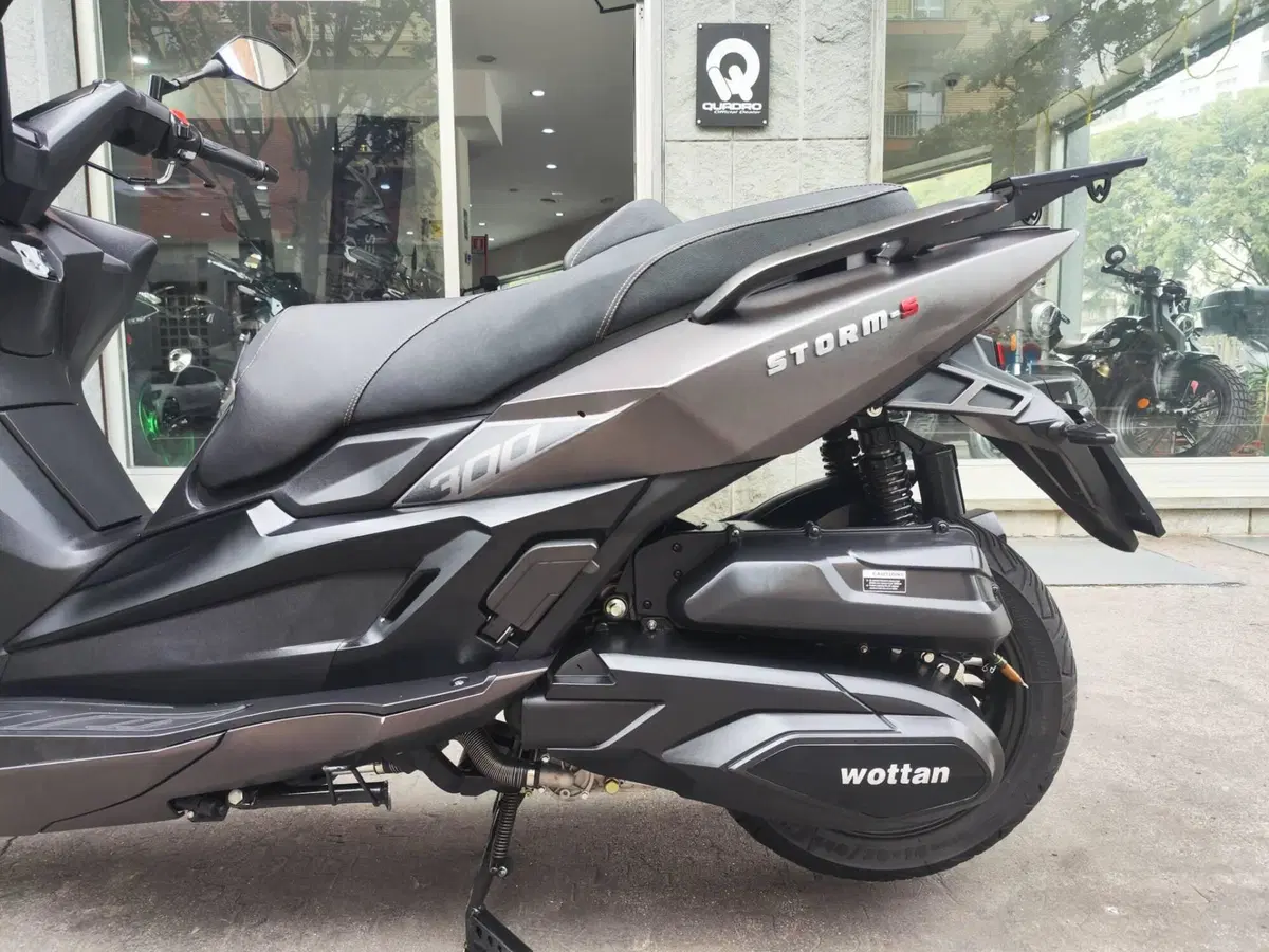 Wottan Motor Storm-S 300 (2020 - 25) (4)